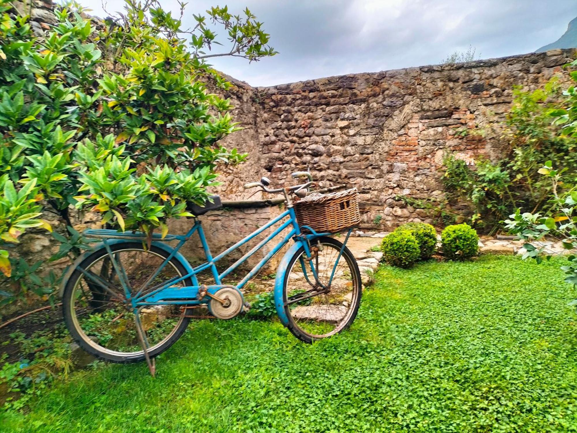 Badia Giulia Prestigious Historical B&B, Camaiore - Adults Only - No Pets Exteriör bild