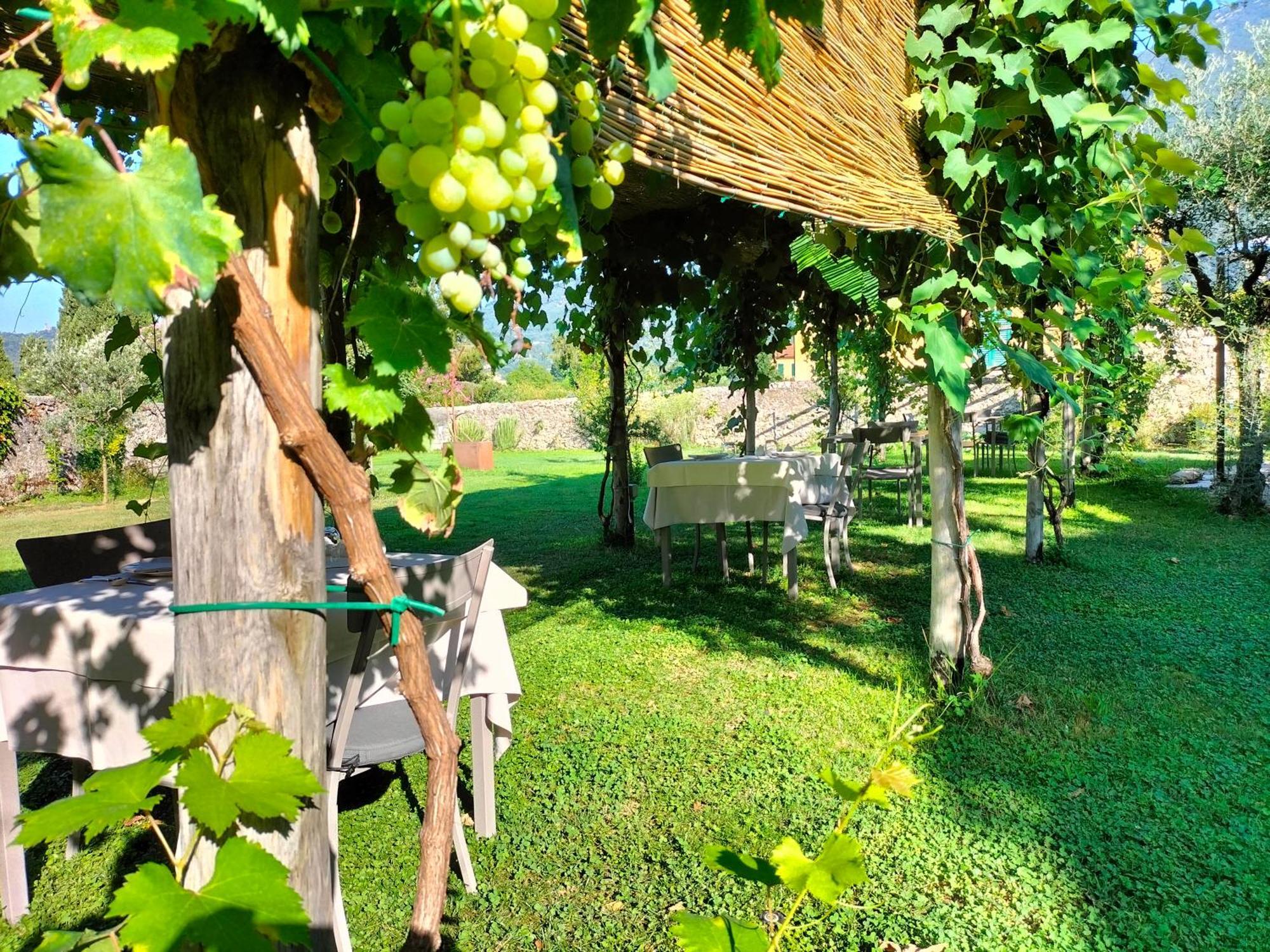 Badia Giulia Prestigious Historical B&B, Camaiore - Adults Only - No Pets Exteriör bild